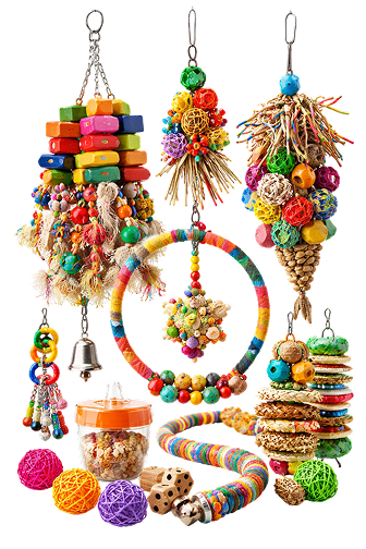 Natural Parrot Toys