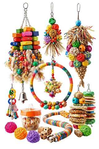Natural Parrot Toys